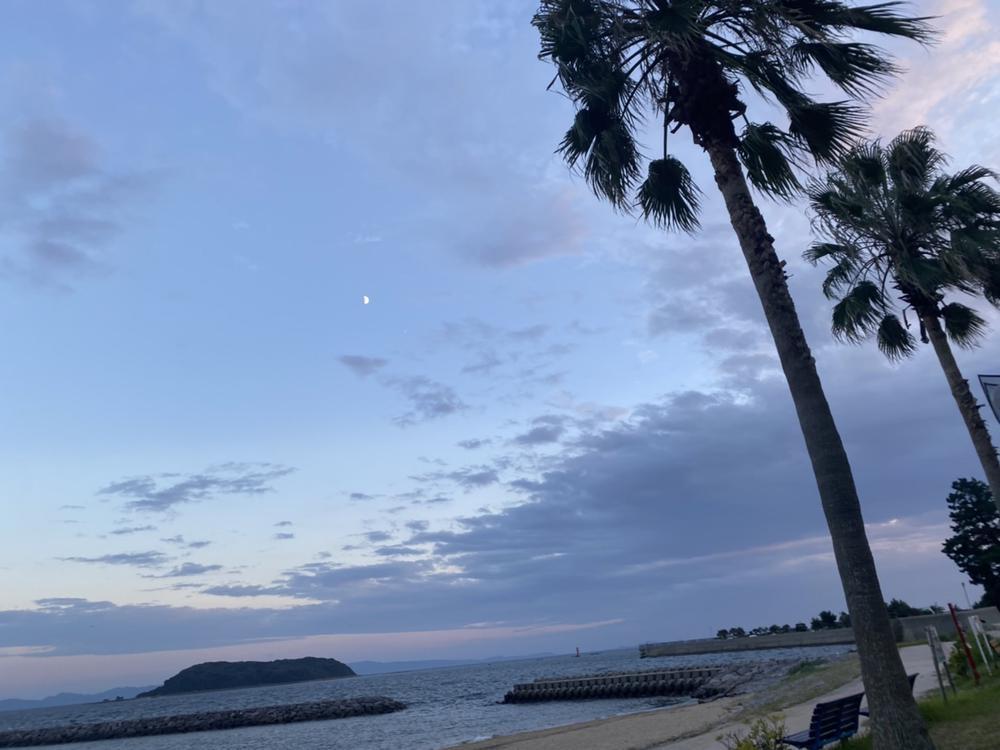 こんばんわ👶🏼