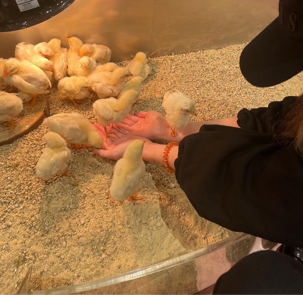 バドガールってなに