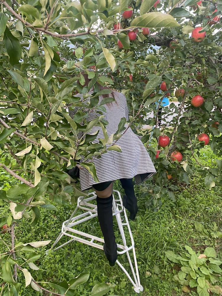 今日はあったかいね