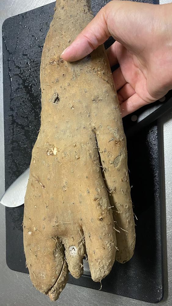 なんじゃこりゃ〜〜〜〜！！！笑っ