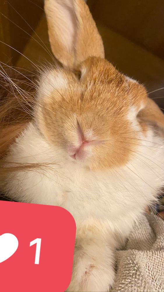 本日21時出勤です❣️ 前回のブログが失敗してました😭💦