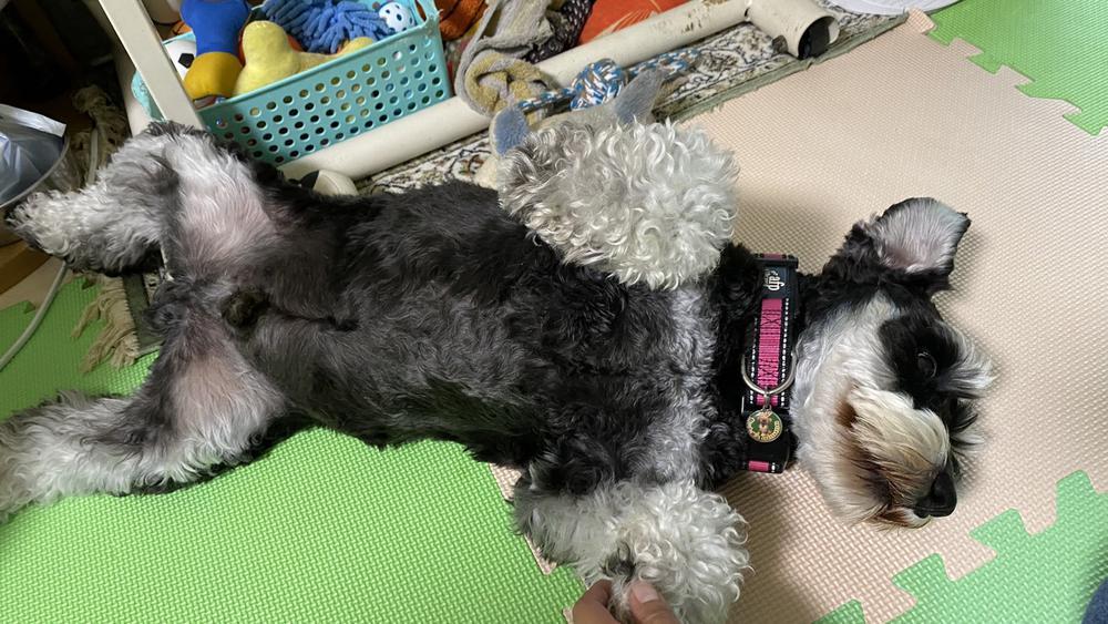 本日21時出勤❣️