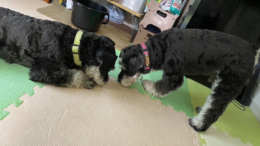 またブログ投稿しきれてなかった💦