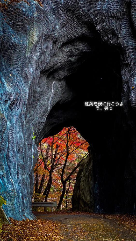 紅葉を観に行こうよう🍁笑っ