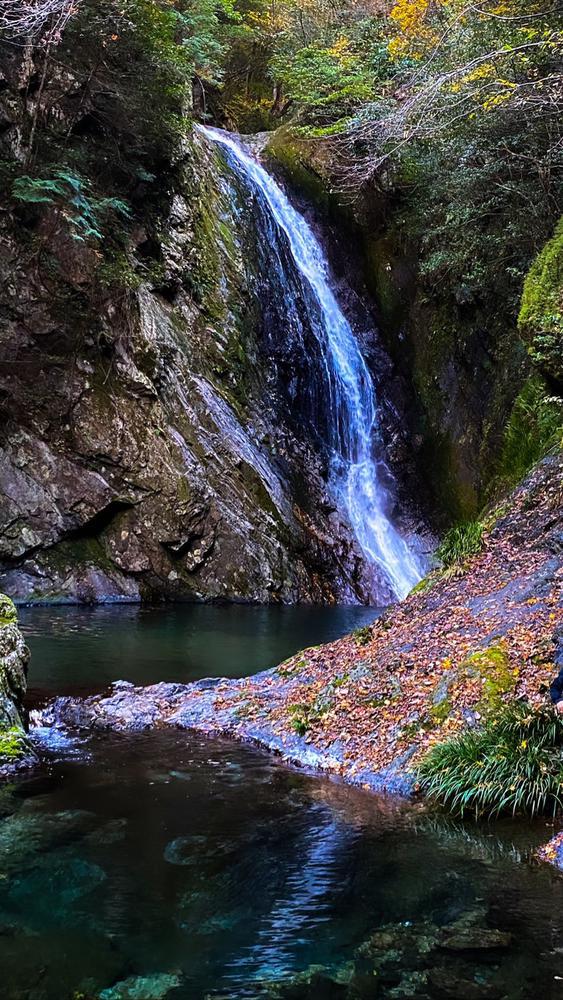 本日21時出勤です*ﾟ (ﾉ｡･ω･)ﾉﾟ