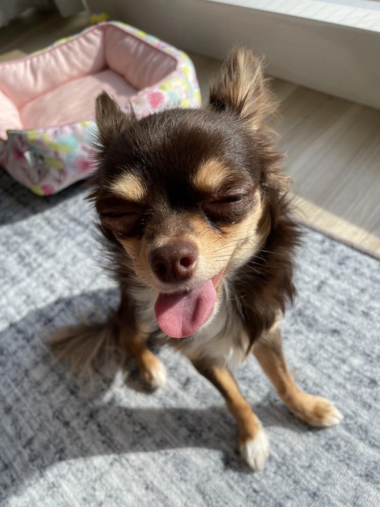 🤘🏻🤘🏻🤘🏻