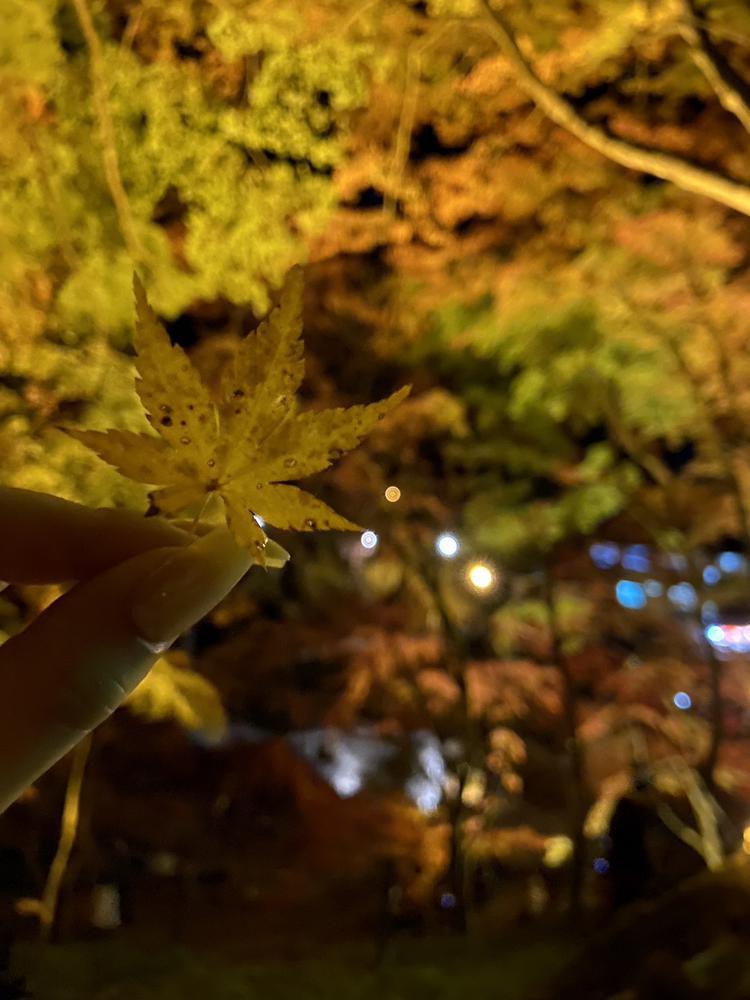 本日出勤です✨