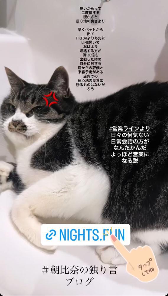 生きやすくなるための必勝法は◯◯◯◯