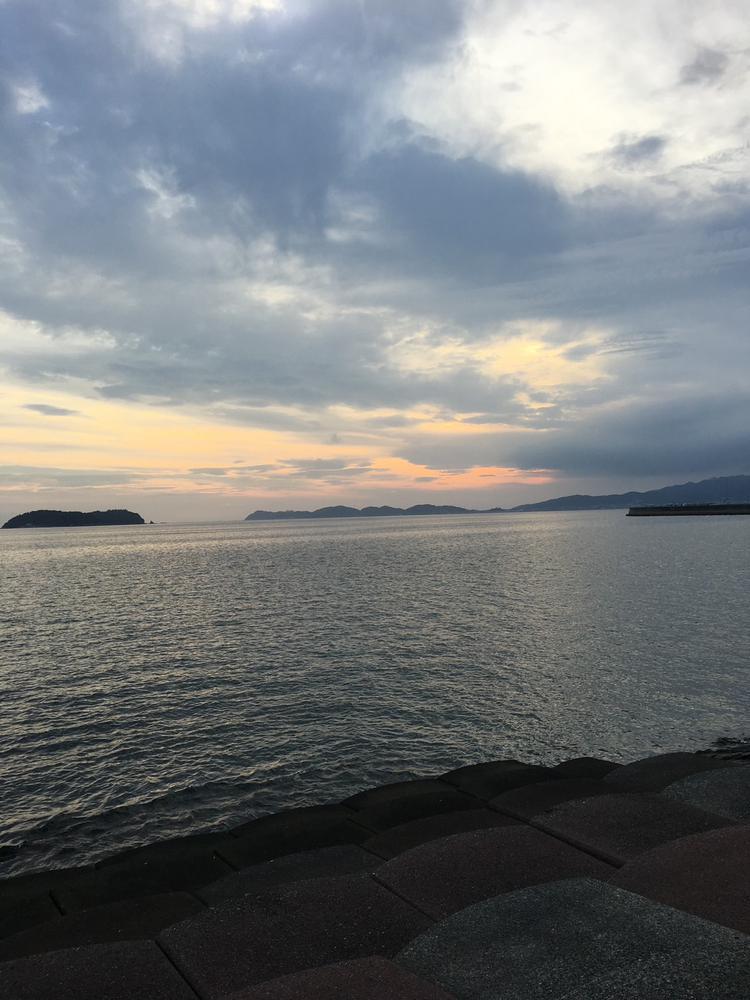 謹賀新年🎍🎍✨