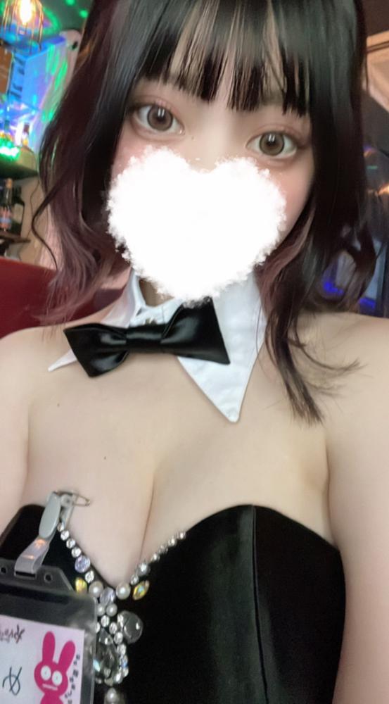 バニーたん🐰