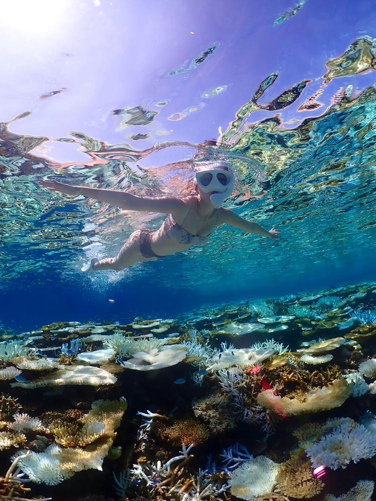 はーるよこいはーやくこい🌸