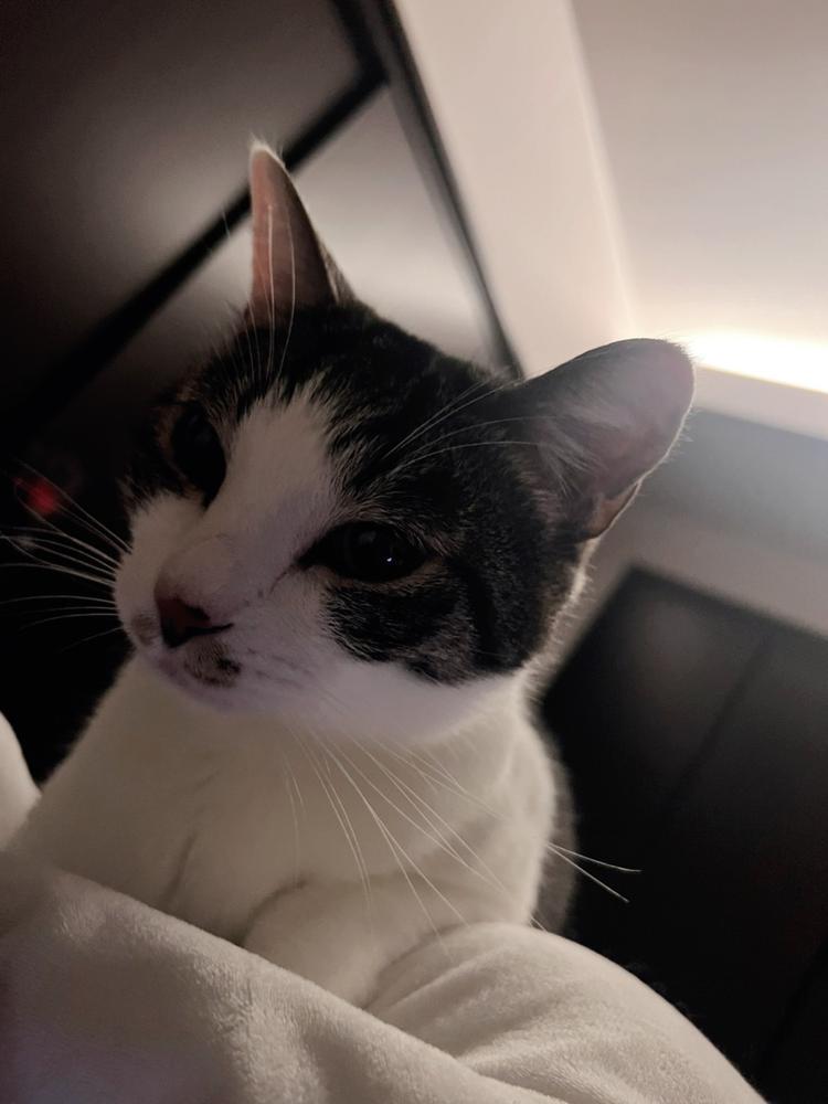 ◯◯症になりました