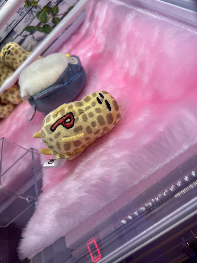 がびーん😂😂