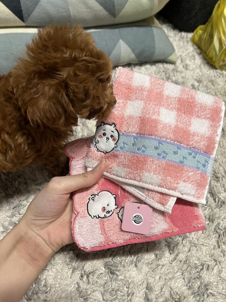 新しいちいかわ