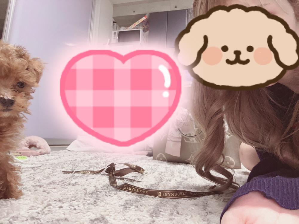 最近のマイブーム