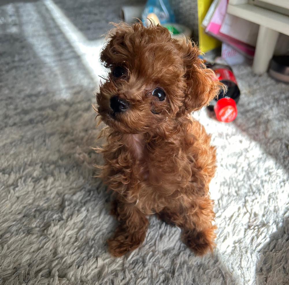 おはよん🐻‍❄️