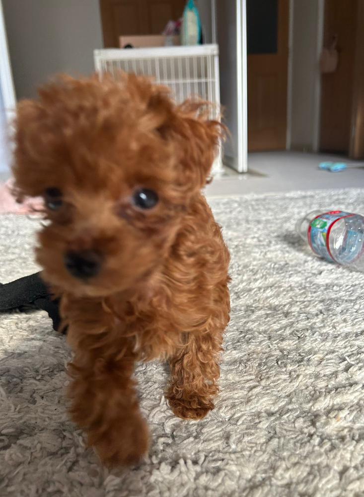 明日は潰れると思う笑笑