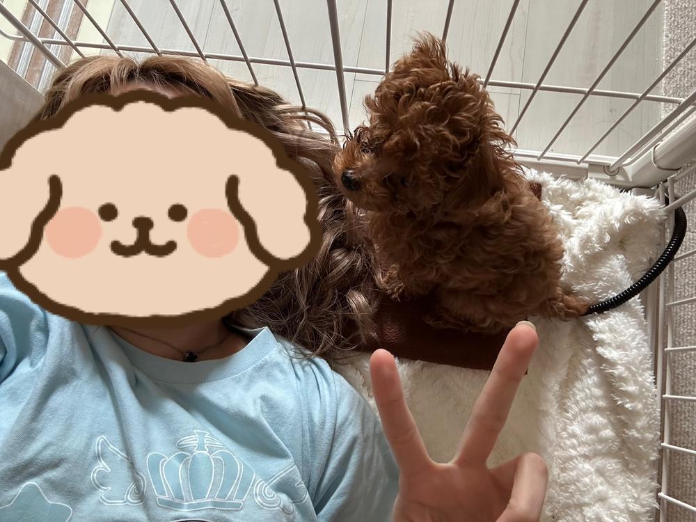 今日水曜日だけど