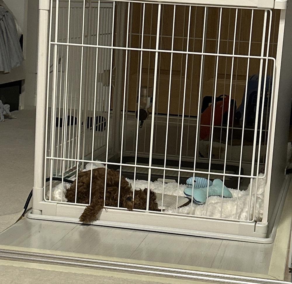 非日常なことしたい