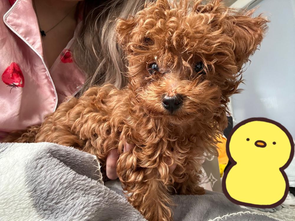 昨日楽しかったなあ