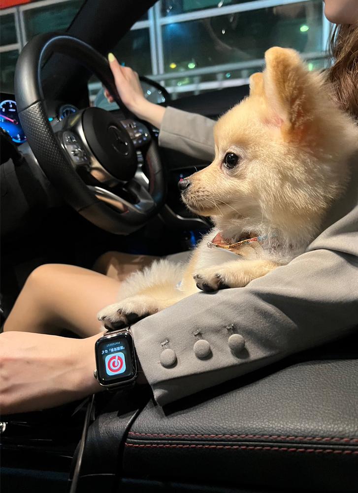 ドライブ🚗💨