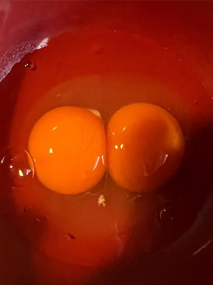 🥚🤍🤍🤍🤍🤍🤍🤍