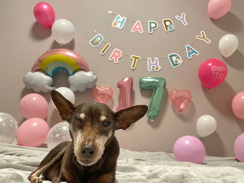 うちの子もおめでとう