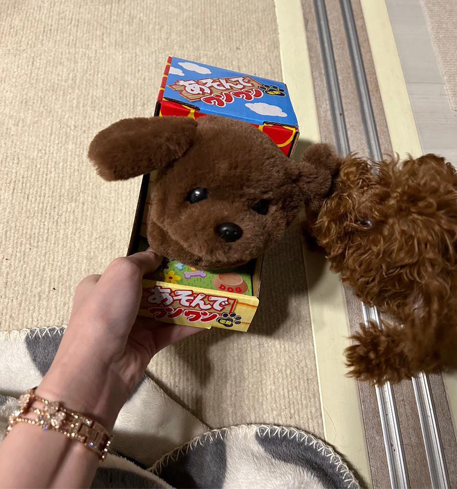 お休みはあっという間