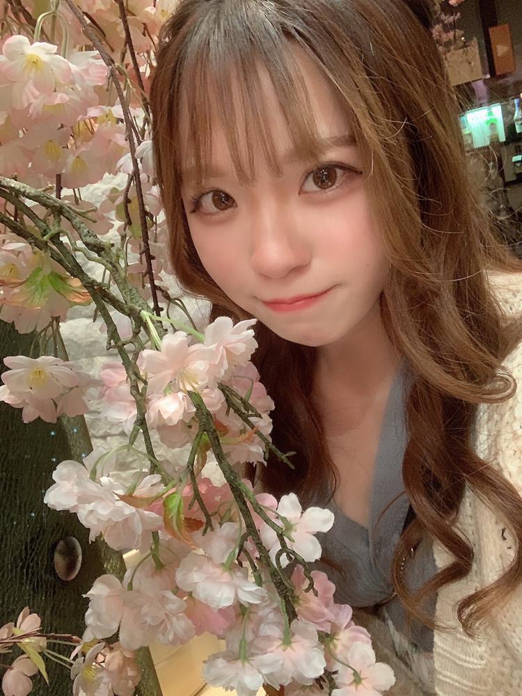 スプリングフェア