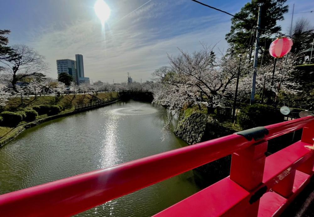 🌻.あっというまーー