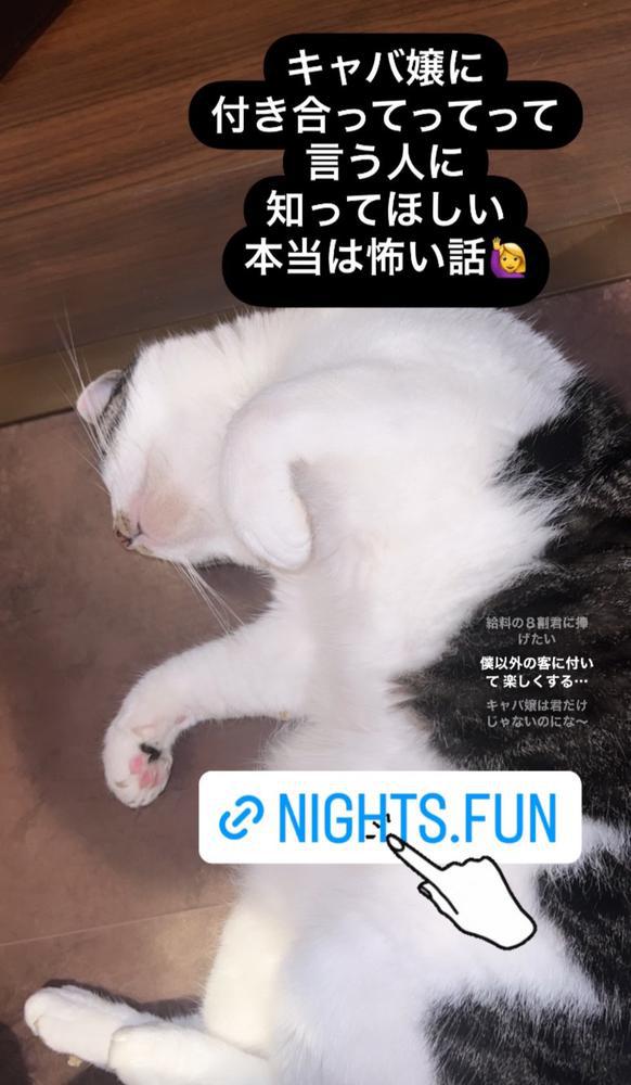 キャバ嬢と付き合う前に知っておきたい事