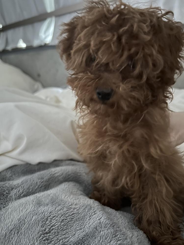 地味にこの1週間酔ってる