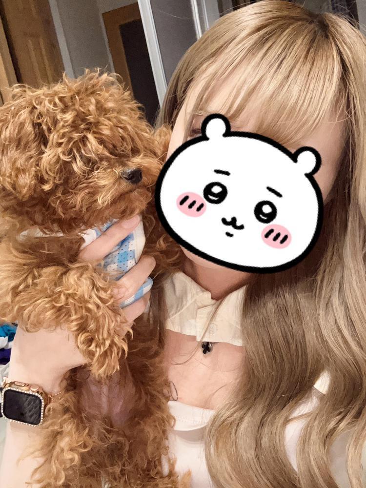 明日は晴れるといいなあ