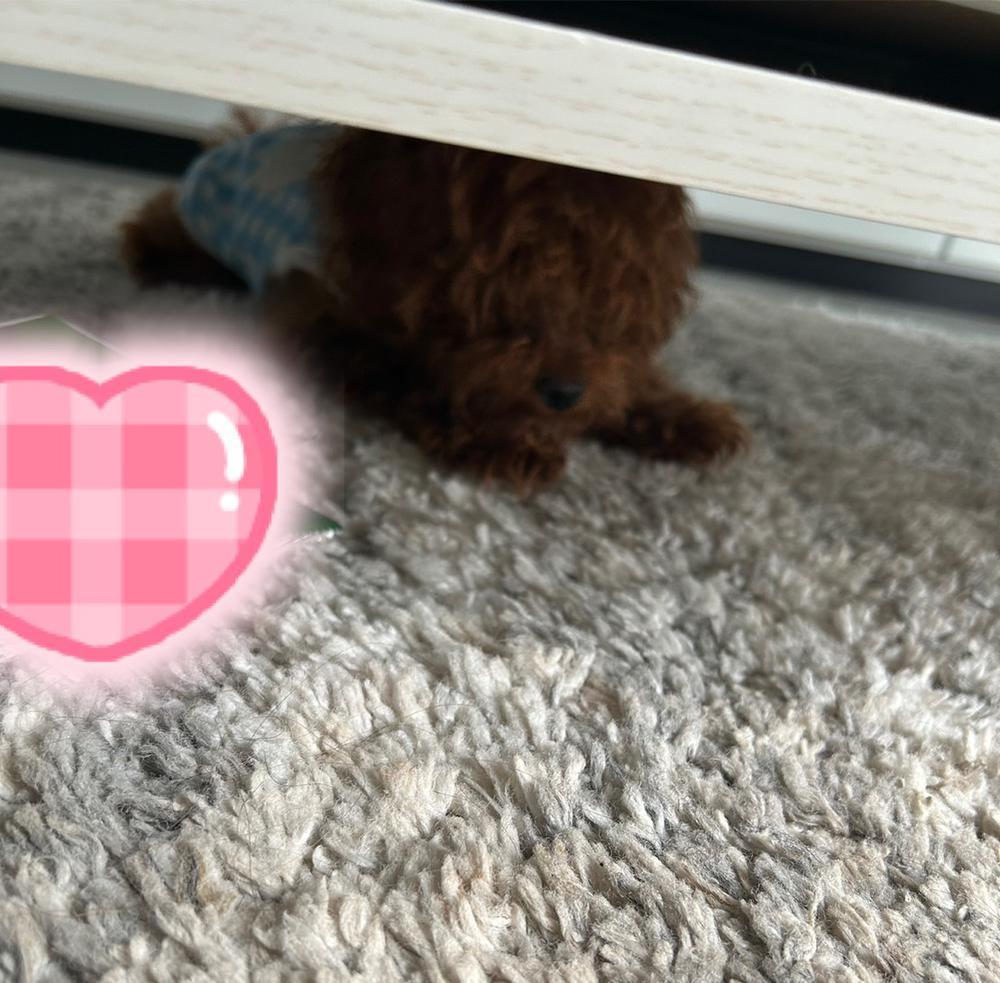 今日は早めに帰れるといいな