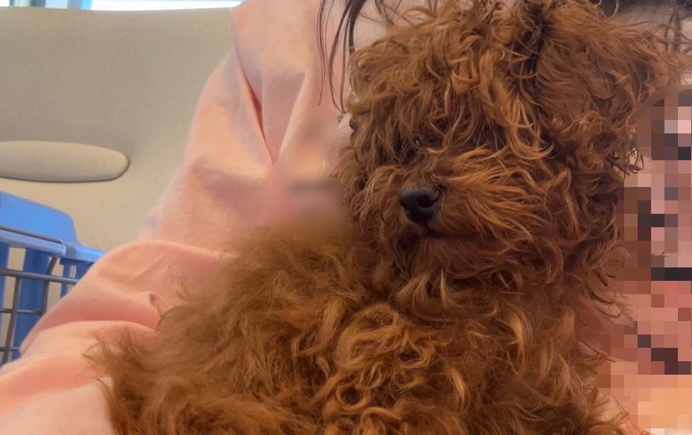 毎日通院😿😿