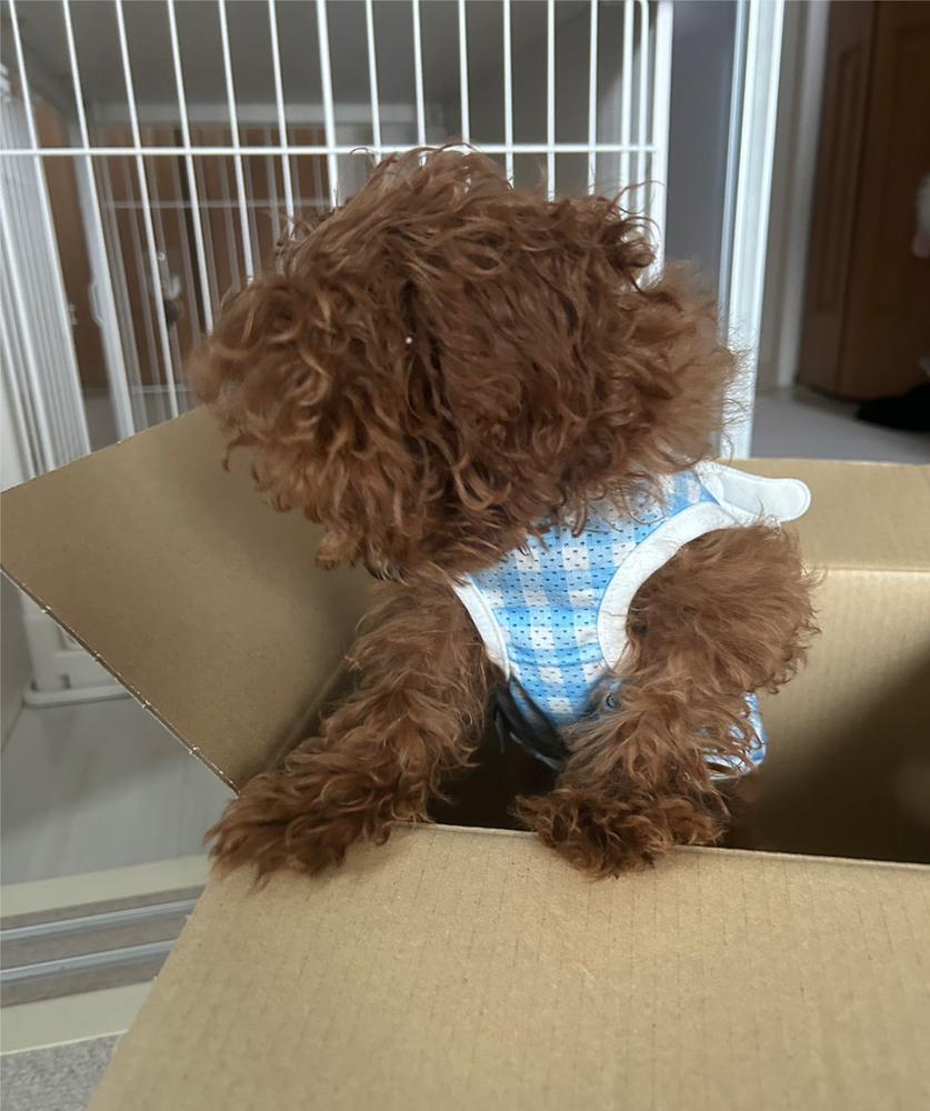 今日の私服かわいい🥹🥹