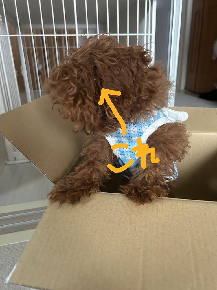 あいりさんガチおもろい🤣🤣