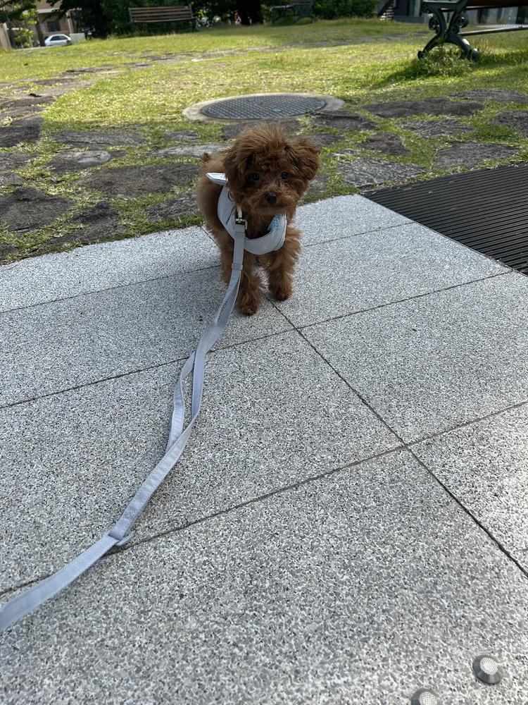 明日風邪ひきそう