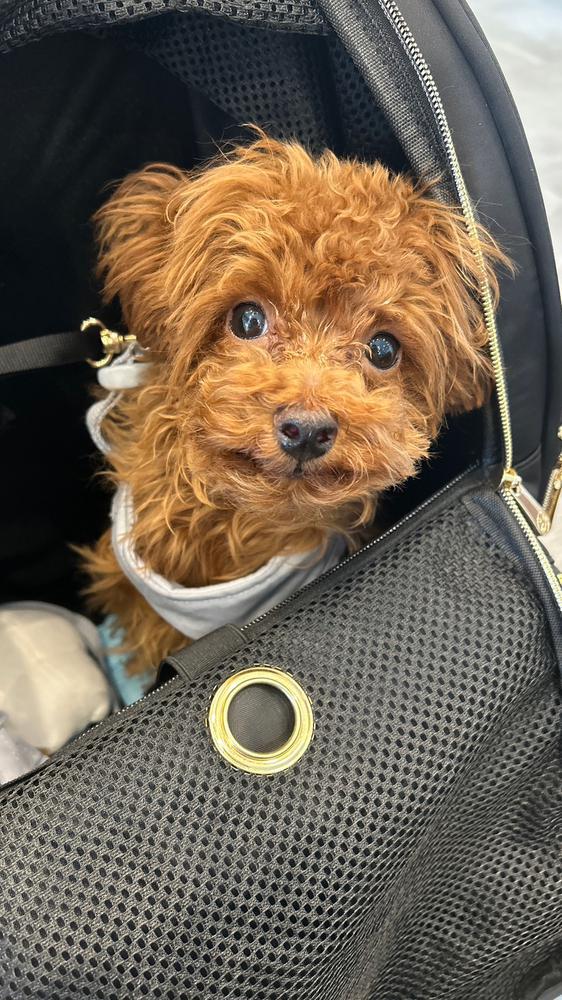 1日おわたはやすぎ