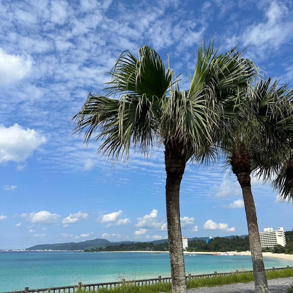 出勤👱🏼‍♀️