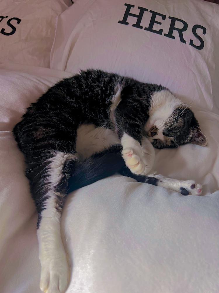 私事ですが.......