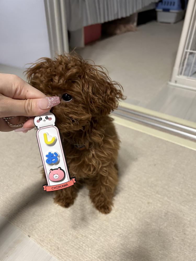 私以外とか許さないからね