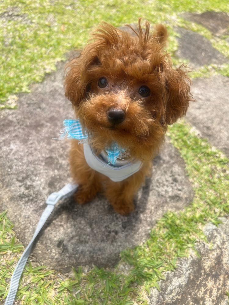 可愛い女の子って羨ましい