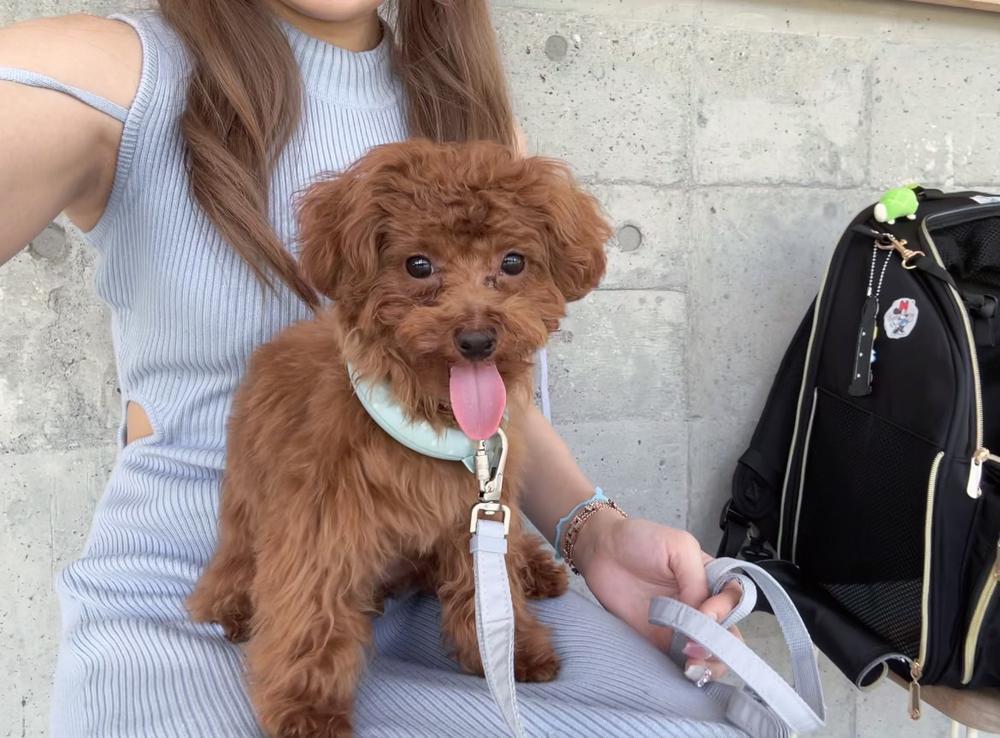 明日出れるのかな