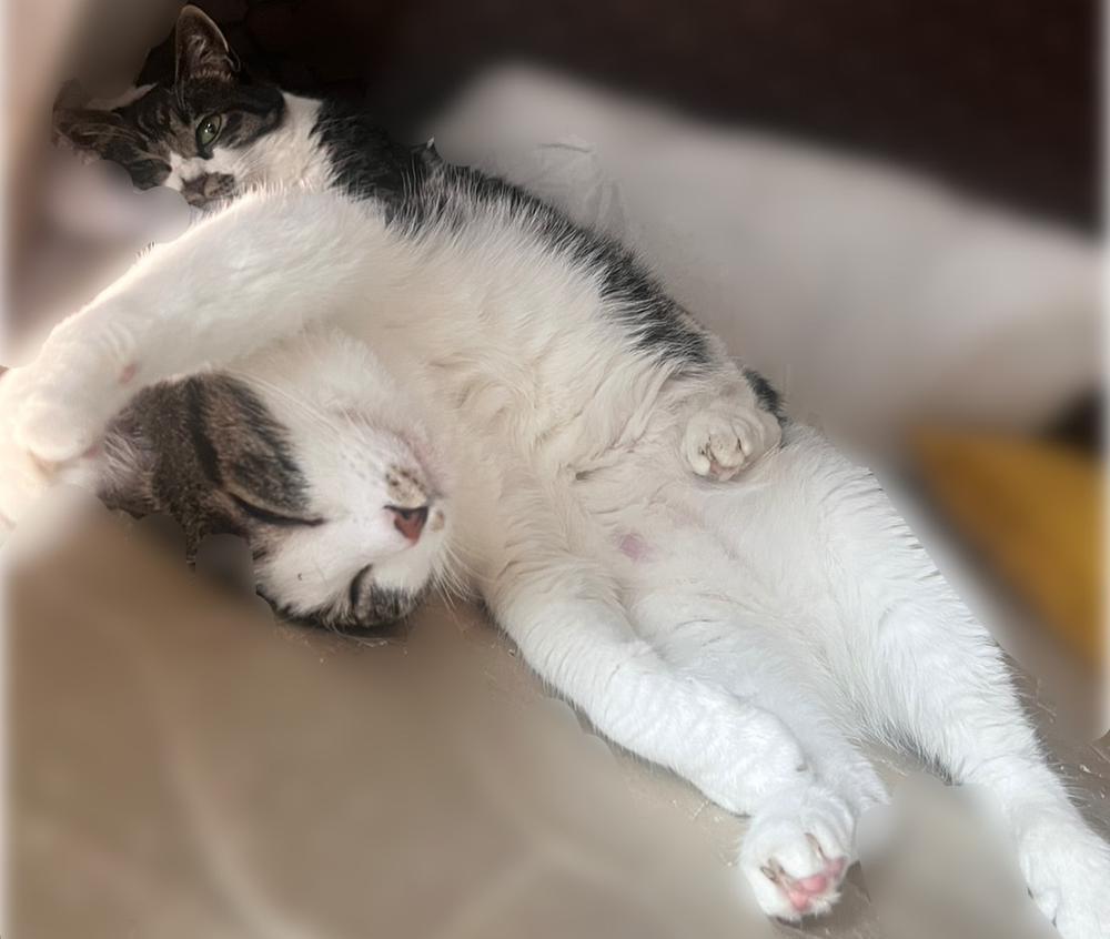 フリーのアフターは◯◯◯◯