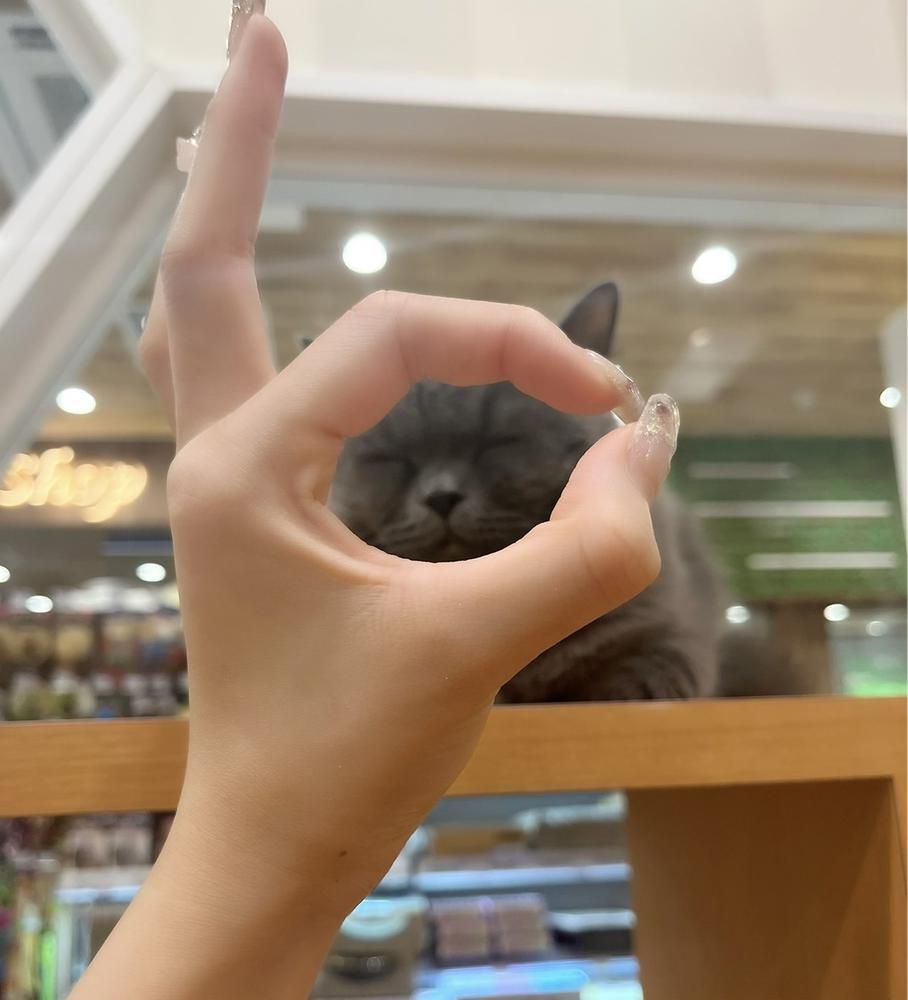 ベストショット📸