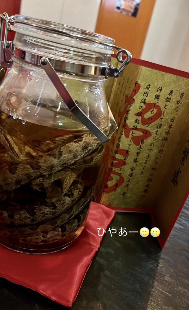 ハブ酒🐍🤍