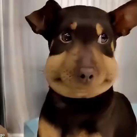 しゅうまつだなあ