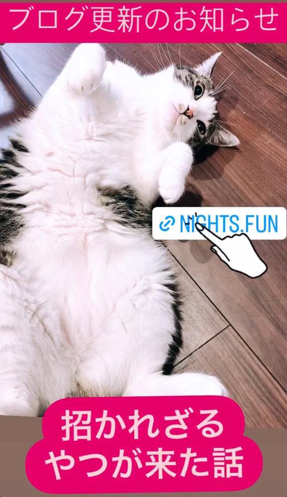 招かれざるお客様