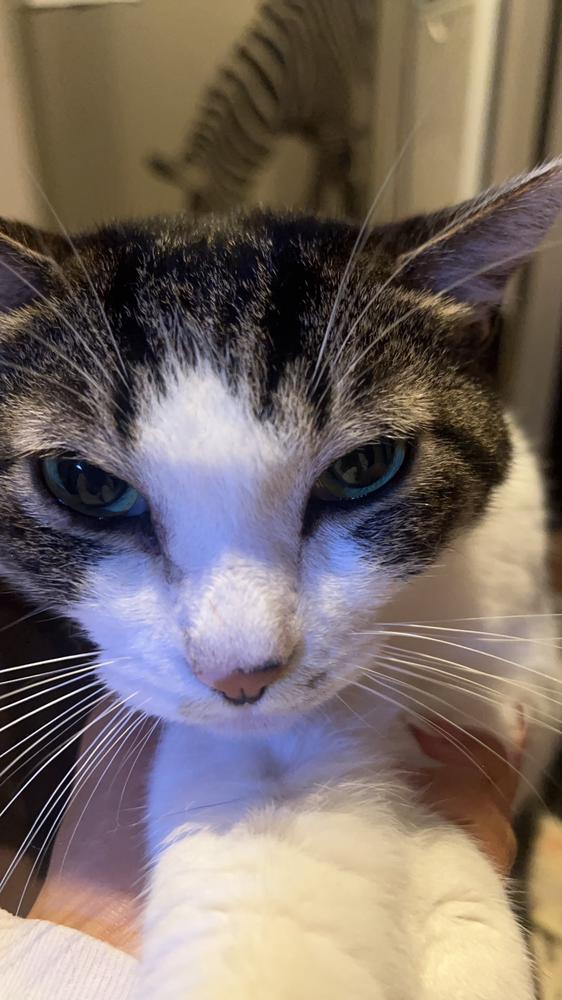 ねぇ◯◯の時こんな顔してるよ